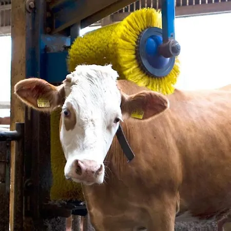 Horská chata Hollweck's Landoase *