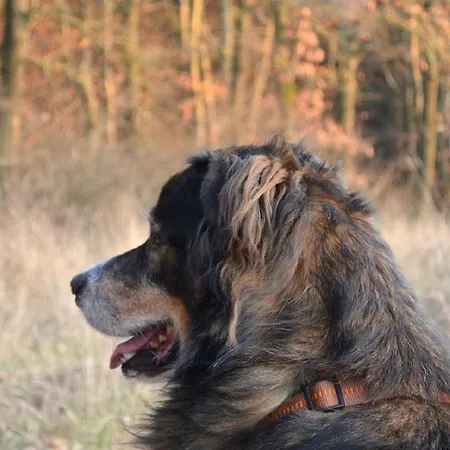 Hollweck's Landoase Horská chata *